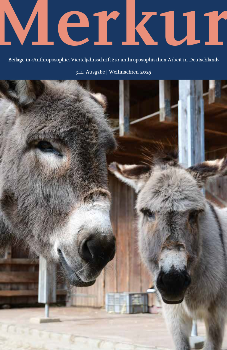 Merkur Weihnachten 2025