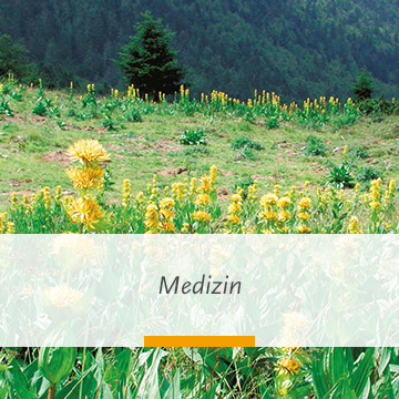 Medizin
