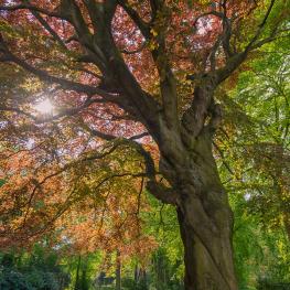 Klimaneutrale Produktion und kurze Wege sind uns wichtig