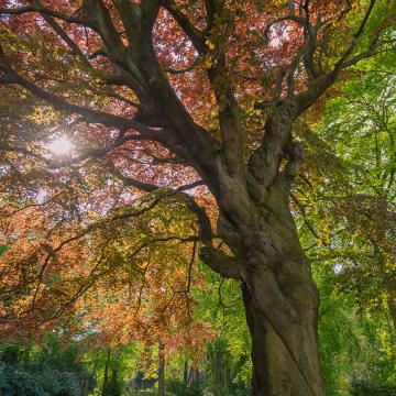 Klimaneutrale Produktion und kurze Wege sind uns wichtig