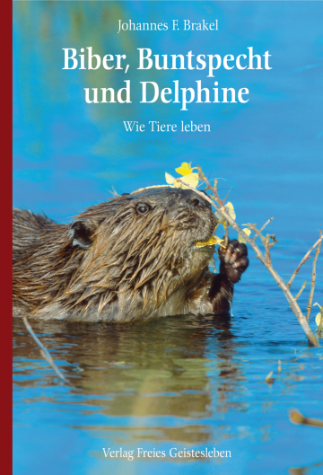 Biber, Buntspecht und Delphine  Johannes F. Brakel   