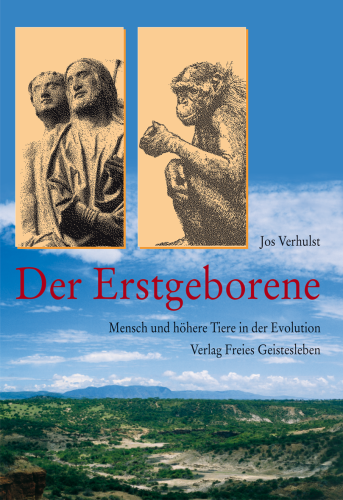 Artikelbild des Artikels “Der Erstgeborene “