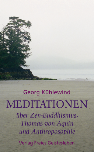 Artikelbild des Artikels “Meditationen über Zen-Buddhismus, Thomas von Aquin und Anthroposophie “