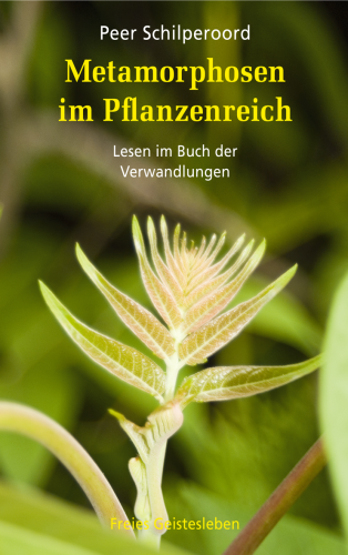 Artikelbild des Artikels “Metamorphosen im Pflanzenreich “