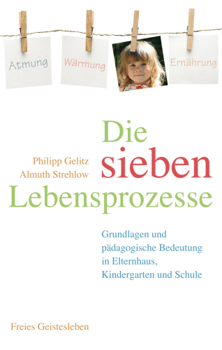 Artikelbild des Artikels “Die sieben Lebensprozesse “