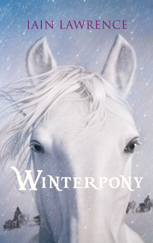 Artikelbild des Artikels “Winterpony “