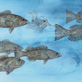 Abbildung10 Das Nebelmännle vom Bodensee