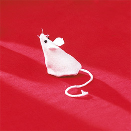 Abbildung1 Stofftiere zum Selbernähen