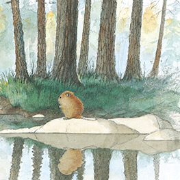 Abbildung1 Der kleine Biber und das Echo