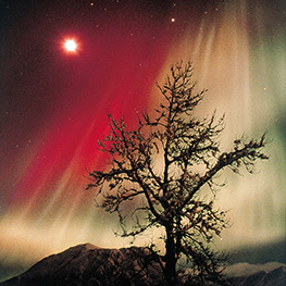 Abbildung1 Das Polarlicht