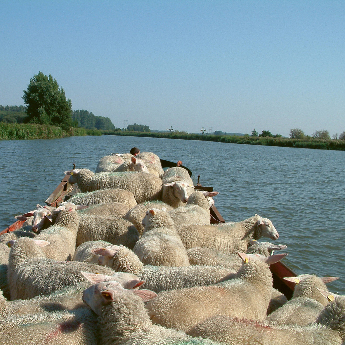 Abbildung1 Holland stricken