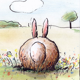 Abbildung1 Hase Hartmann