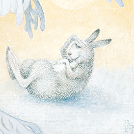 Abbildung1 Von Fuchs, Wolf und Bär ...