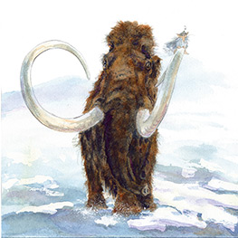 Abbildung1 Das Nebelmännle vom Bodensee