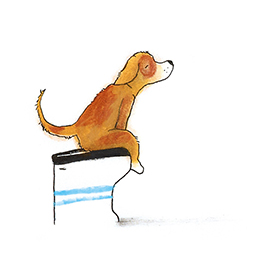 Abbildung1 Robin ist verliebt