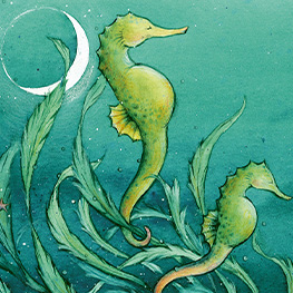 Abbildung1 Postkartenbuch »Träum was Schönes«