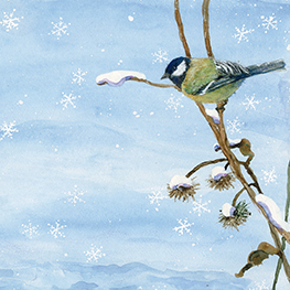 Abbildung1 Die kleine Elfe feiert Weihnachten