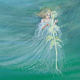 Abbildung1 Die Gärten von Dorr