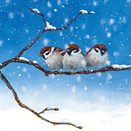 Abbildung1 Der Nachtschelm und das Siebenschwein