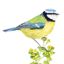 Abbildung2 Geburtstagskalender