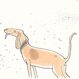 Abbildung2 Der Junge, der sein Brot mit der Schere schnitt