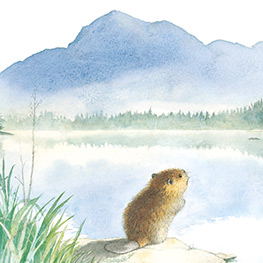 Abbildung2 Der kleine Biber und das Echo