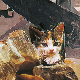 Abbildung2 Weit von hier ganz nah bei uns