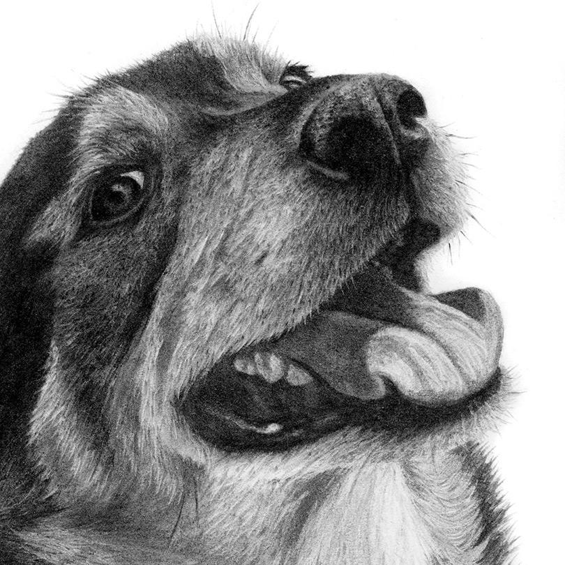 Abbildung2 Bruder Tier