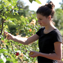 Abbildung2 Gärten der Zukunft
