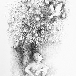 Abbildung2 Der Zauberspiegel