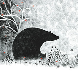 Abbildung2 Bär ist nicht allein