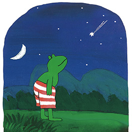 Abbildung2 Frosch und die Sternschnuppe