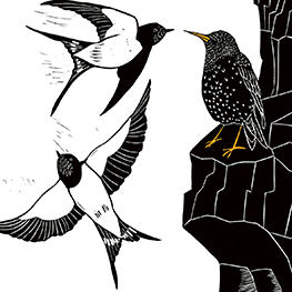 Abbildung2 Das Lied des Stars