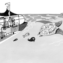 Abbildung2 Die Tindims und der Schildkrötenschlamassel