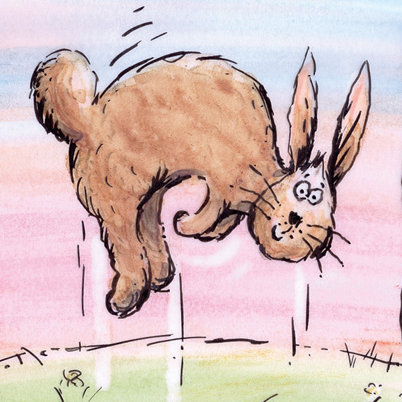 Abbildung2 Hase Hartmann