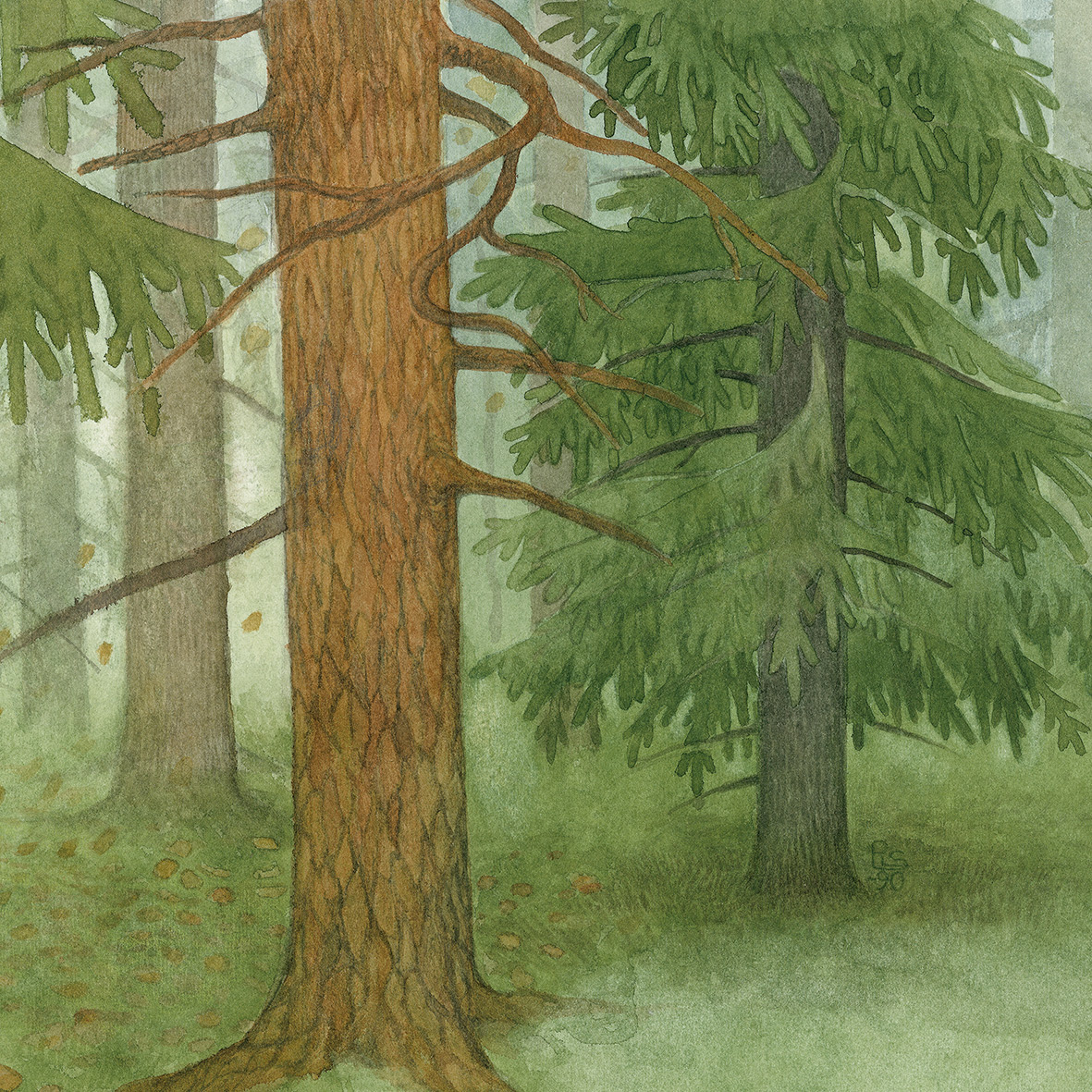 Abbildung2 Die tanzende Waldmaus