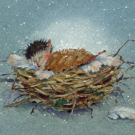 Abbildung2 Postkartenbuch »Klaus Sausebraus«