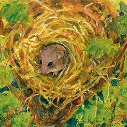 Abbildung2 Vitus hat Geburtstag