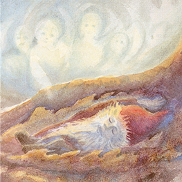 Abbildung2 Zwerg Wurzelfein