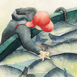 Abbildung2 Der Weihnachtskarpfen