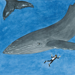 Abbildung3 Das blaue Herz des Planeten