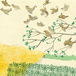 Abbildung3 Mein haariger Tag