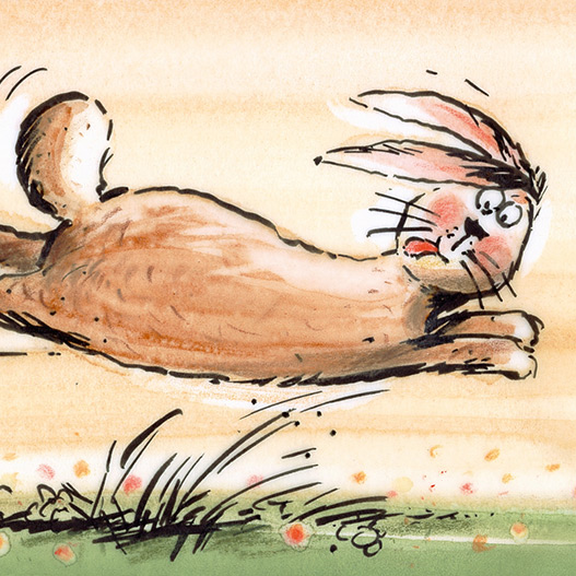 Abbildung3 Hase Hartmann