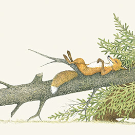 Abbildung3 Von Fuchs, Wolf und Bär ...