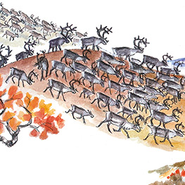 Abbildung3 Plupp im Herbst