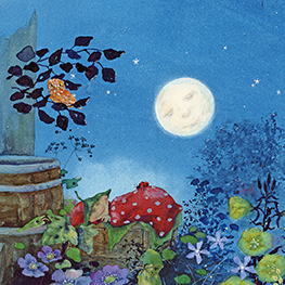 Abbildung3 Giesberts kleiner Garten