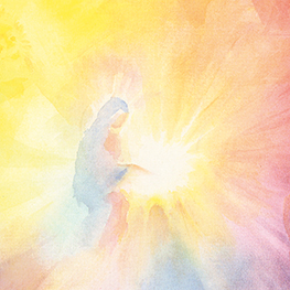 Abbildung3 Zwerg Wurzelfein