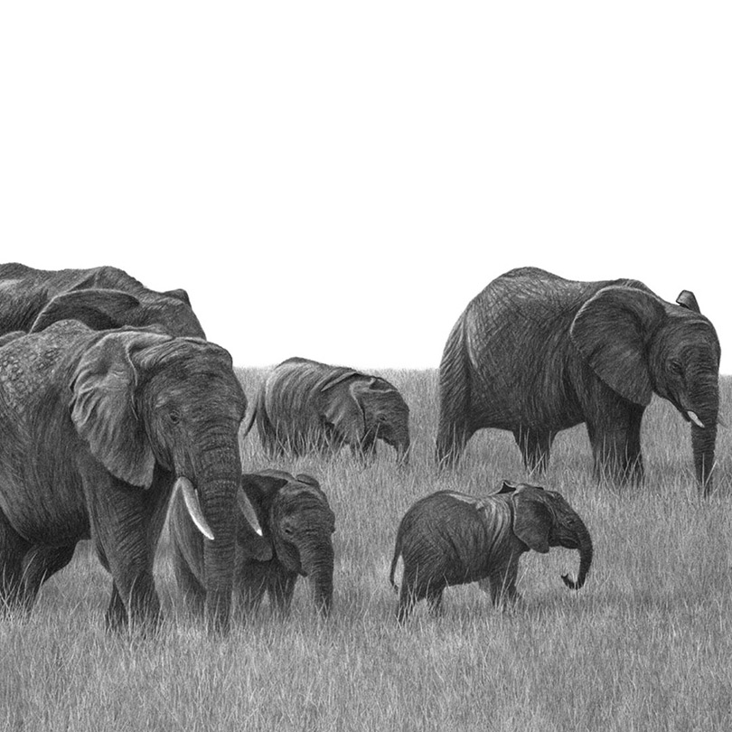 Abbildung4 Bruder Tier