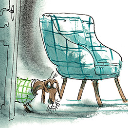 Abbildung4 Top Bob - dein Hund und Retter