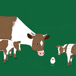 Abbildung4 Das eigensinnige Ei